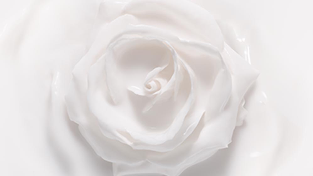 Dior Haut-Expertise